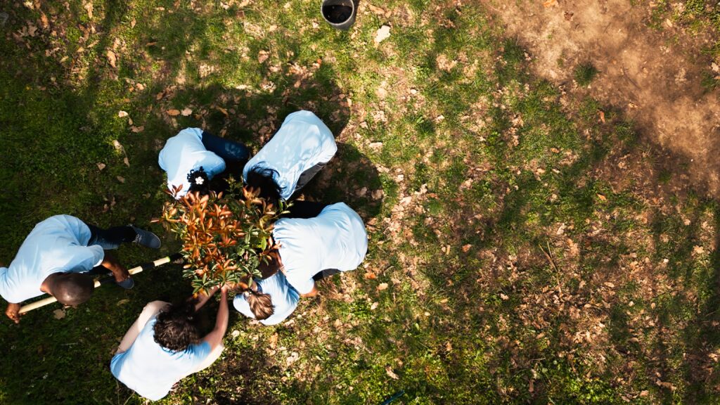 Drone shot of volunteers group planting trees and preserving nature