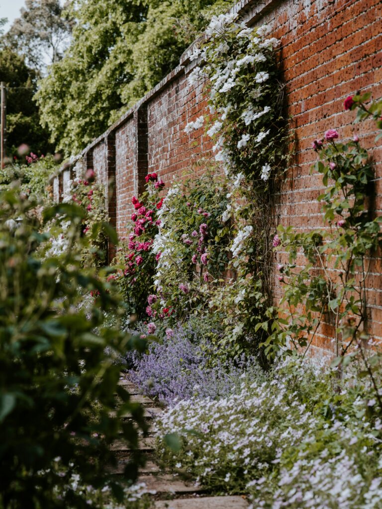 annie-spratt-DOIG0KzIxEM-unsplash