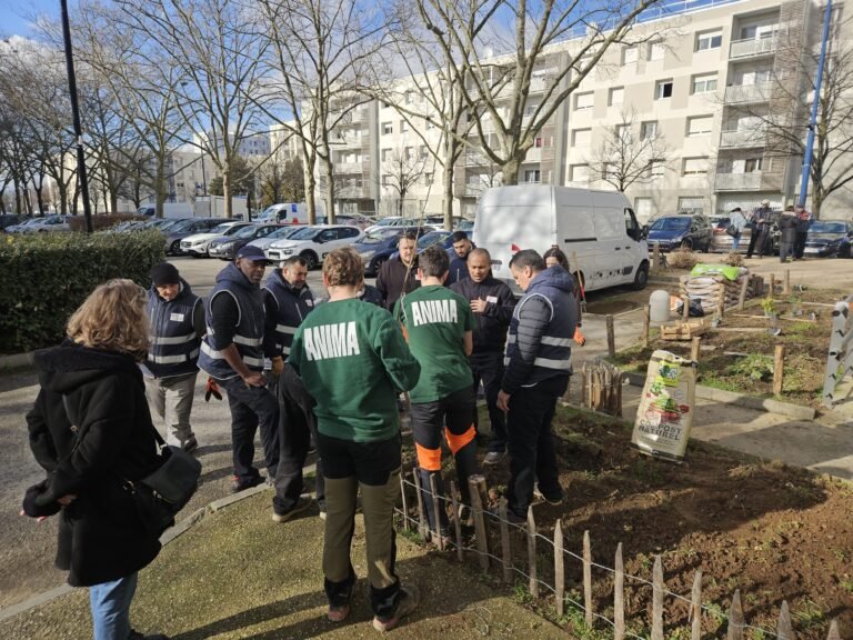 Team Building RSE, la parenthèse nature pour votre équipe