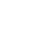 Loupe oiseau blanc