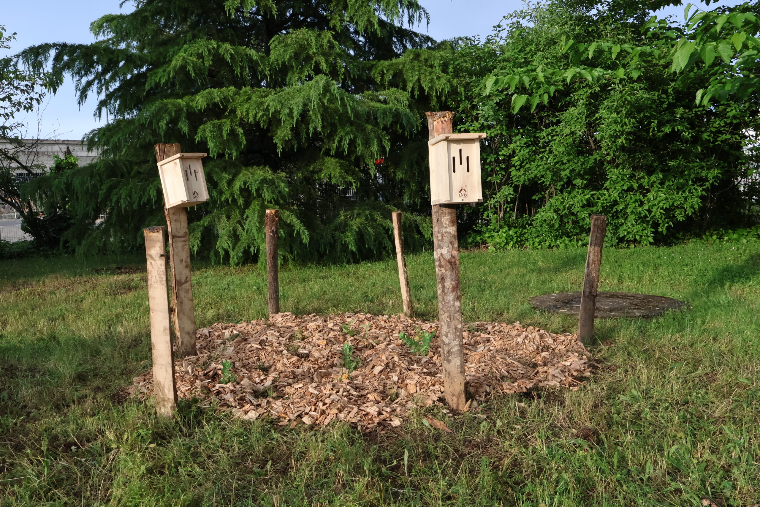 Diagnostic biodiversité et mise en place d'actions