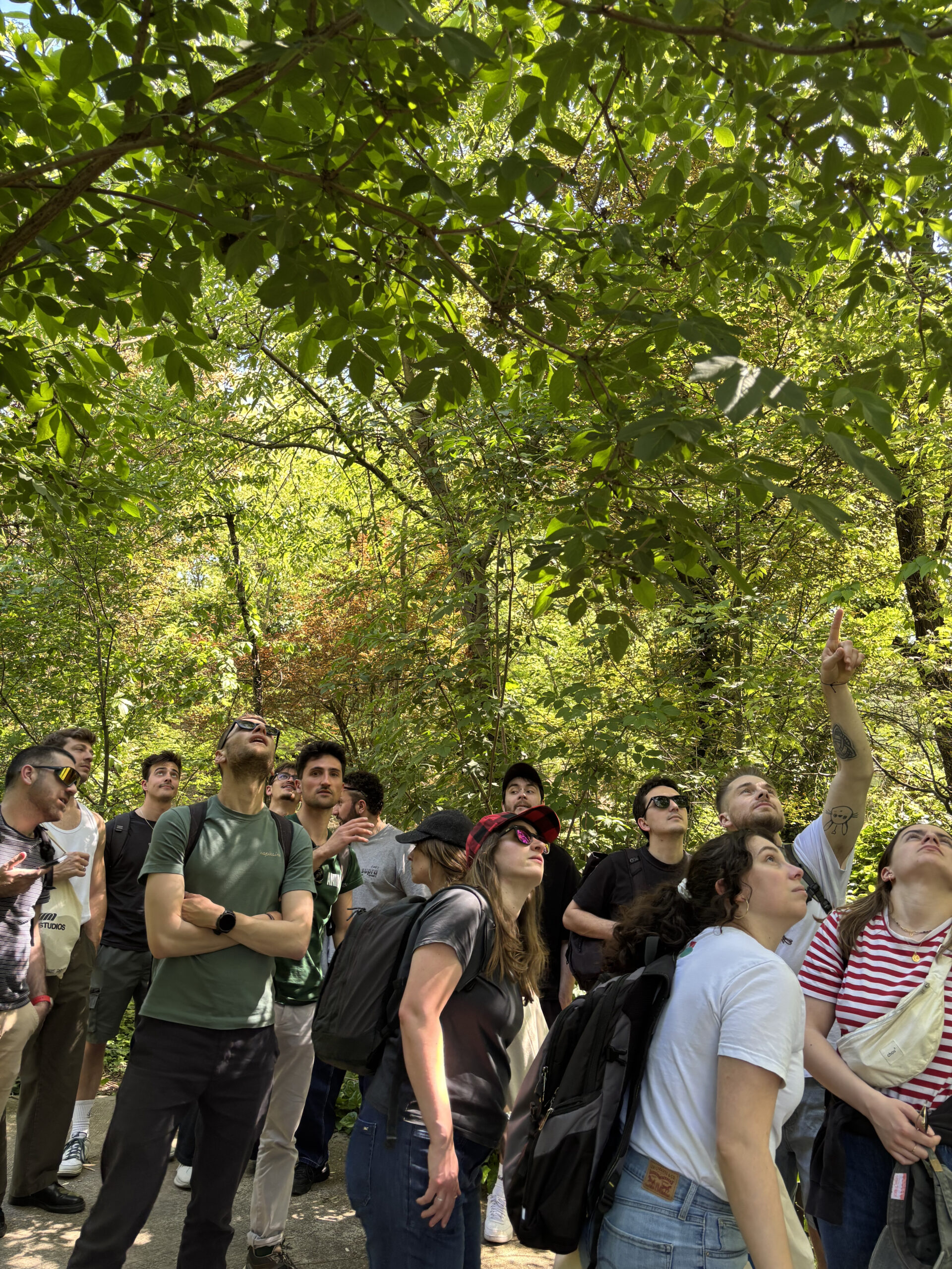 Team building Nature au coeur de Lyon