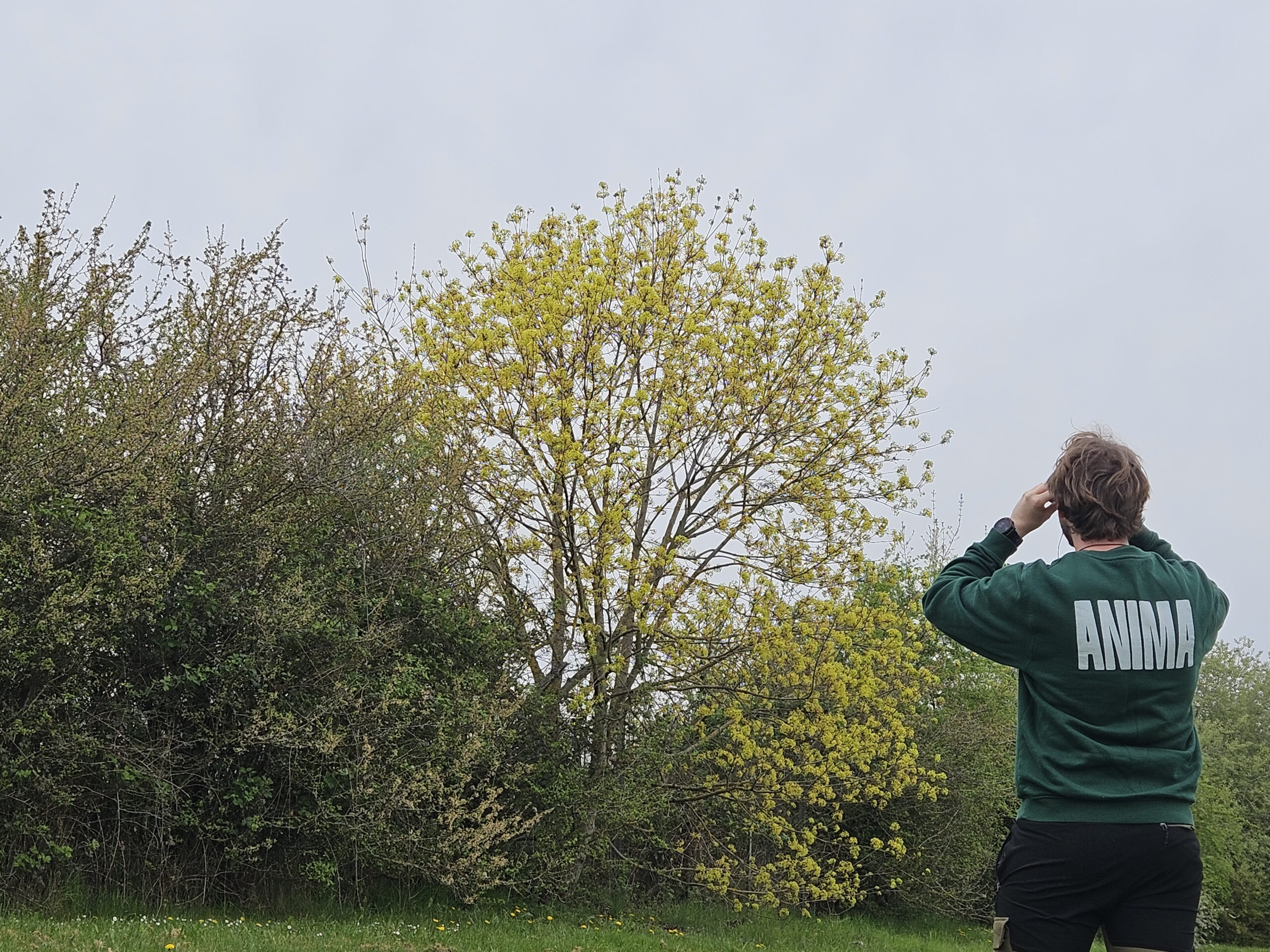 Diagnostic biodiversité proche de Nancy