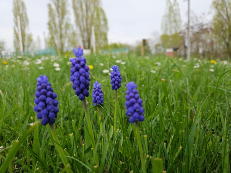 Biodiversité et climat : adapter son jardin d&rsquo;entreprise